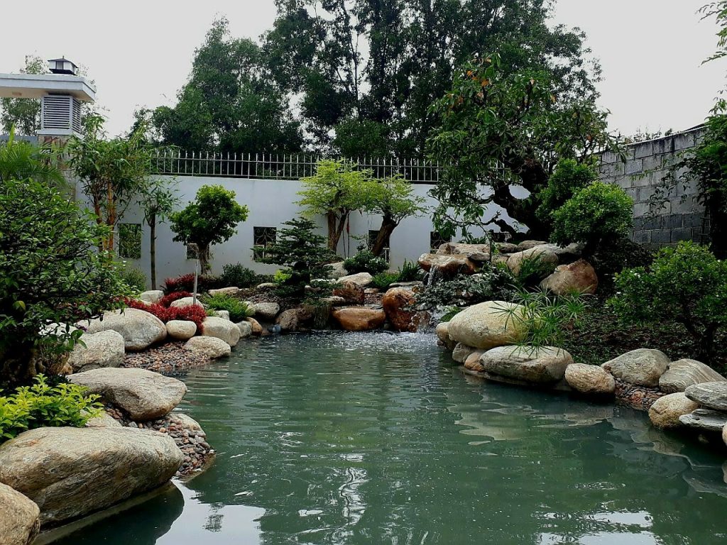 Biệt thự tư gia tại Việt Trì Phú Thọ chưa thả cá và xử lý nước