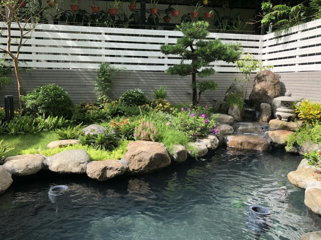 https://hoaquavienfarmstay.com/wp-content/uploads/2018/04/z272388299154276017859c6f0779b8b873fe5626a2a27-300x225.jpg