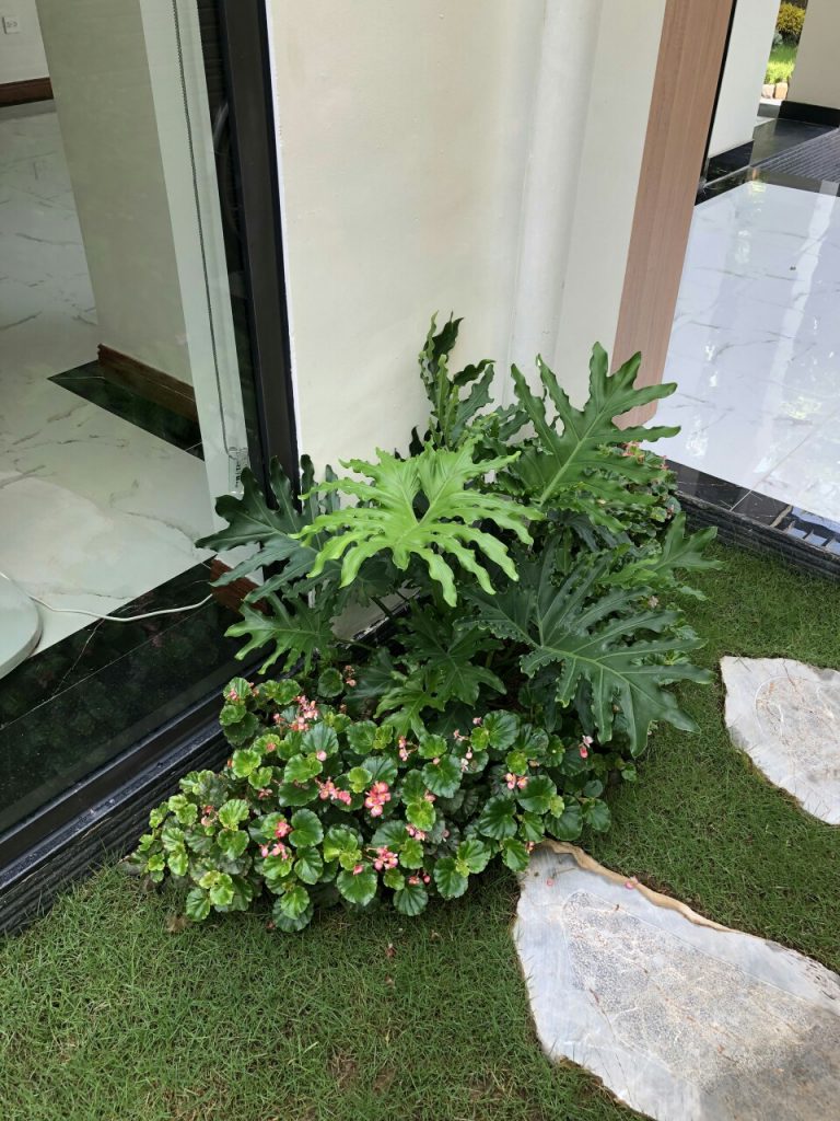 https://hoaquavienfarmstay.com/wp-content/uploads/2018/04/z2723883095714f05efc045793d2cd271b59d705740304-225x300.jpg