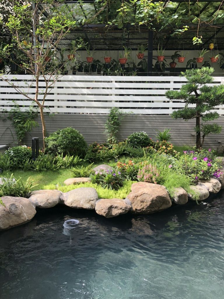 https://hoaquavienfarmstay.com/wp-content/uploads/2018/04/z272388319348098a975c0b6d8ed63f8589d023806c7ef-225x300.jpg