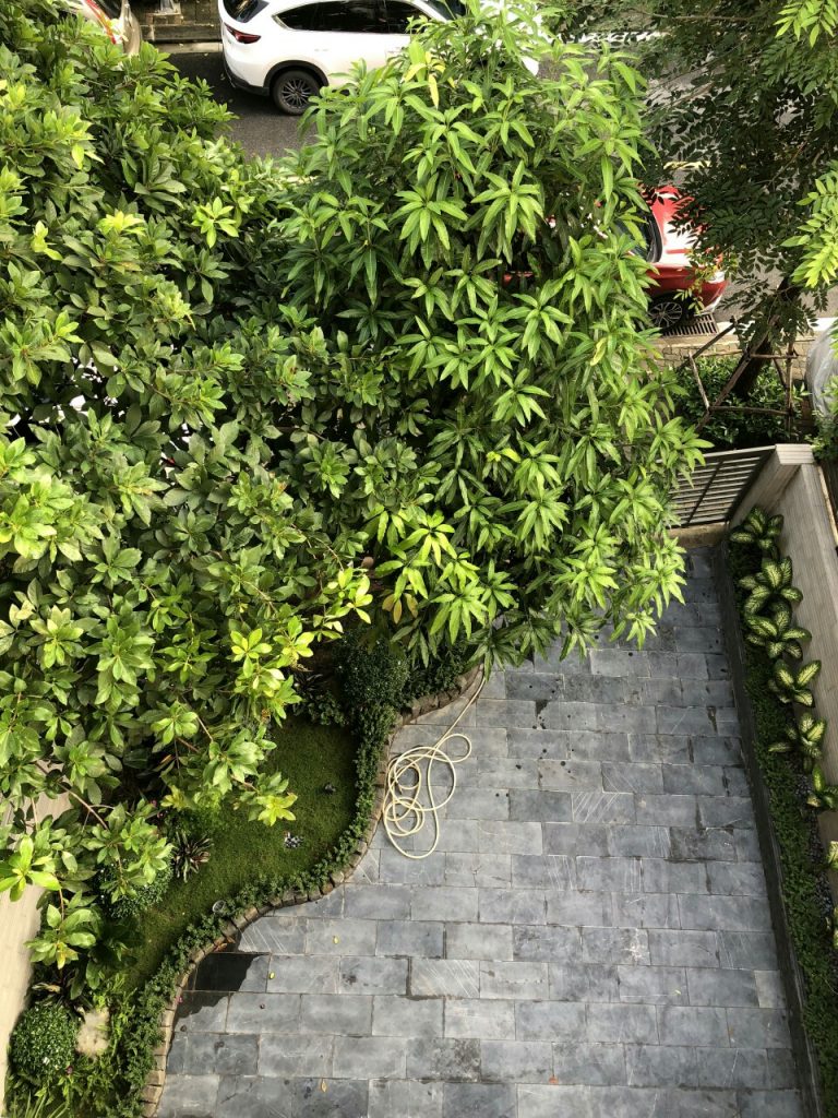 https://hoaquavienfarmstay.com/wp-content/uploads/2018/04/z2723883203560c69f89ffb834214cd4c2d04880a7a5e8-225x300.jpg