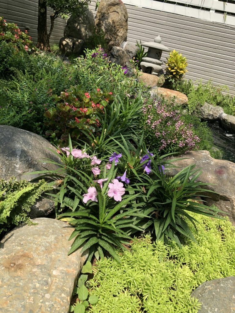 https://hoaquavienfarmstay.com/wp-content/uploads/2018/04/z272388324641230a4a2d1294c9b7fc7377b10f19a2800-225x300.jpg